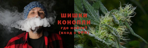 гидра Алексеевка