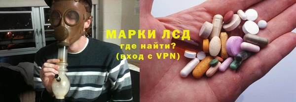 стафф Алзамай
