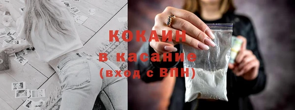 стафф Алзамай
