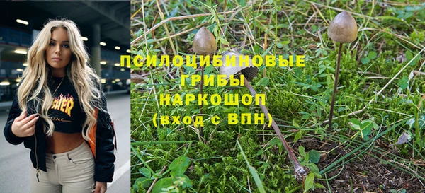 дживик Армянск