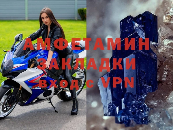стафф Алзамай