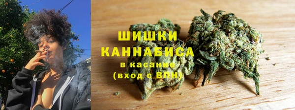 гидра Алексеевка