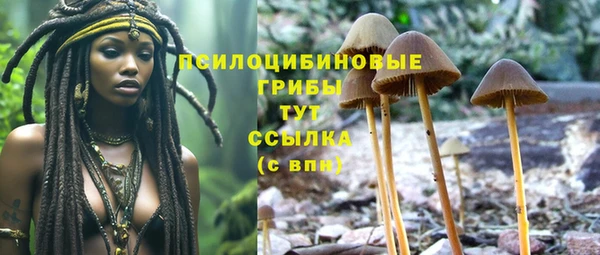 гидра Алексеевка