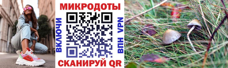 Галлюциногенные грибы MAGIC MUSHROOMS  Багратионовск 